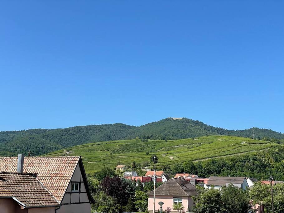 A2 Pas De Colmar Terrasse,Parking Apartamento Wintzenheim Exterior foto