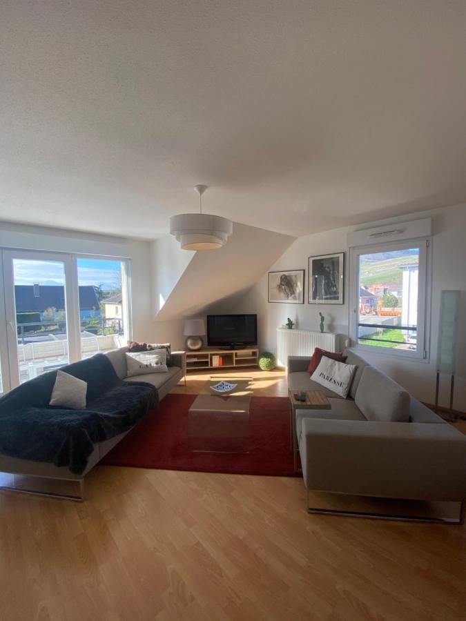 A2 Pas De Colmar Terrasse,Parking Apartamento Wintzenheim Exterior foto