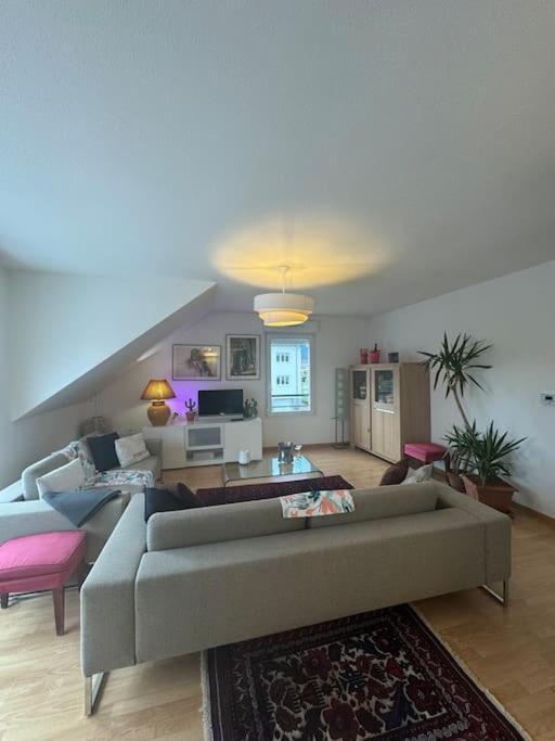 A2 Pas De Colmar Terrasse,Parking Apartamento Wintzenheim Exterior foto
