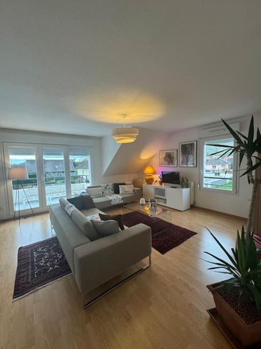 A2 Pas De Colmar Terrasse,Parking Apartamento Wintzenheim Exterior foto